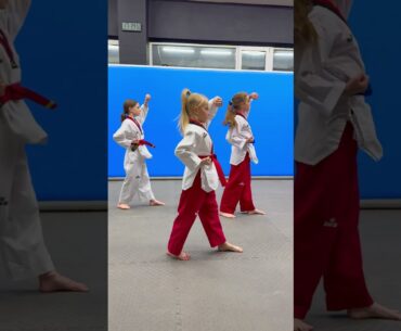 Poomsae 1 / TAEGEUK 1JANG #taekwondo #poomsae #kicks