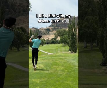 I hit a bird with my driver.. The Randy Johnson of Golf 😅
