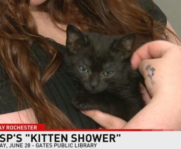 GRASP Animal Rescue visits ARC Rochester