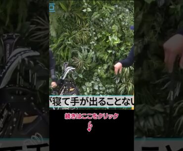 プロが行う方向性重視の打ち方 #ドライバー #河本力 #ゴルフレッスン #ゴルフ