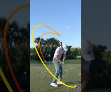 Rory Mcilroy 3D Swing Tracer created using Shot Tracer Pro for Mac and PC.