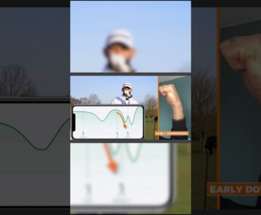 How The Wrists Really Work