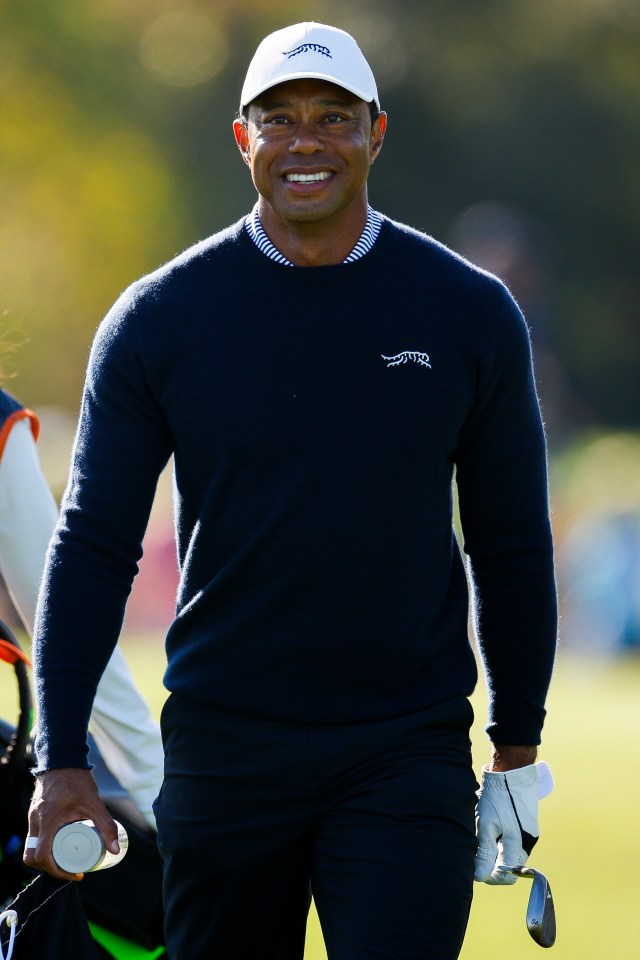 Tiger Woods smiling at a golf course.