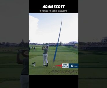 PGA Adam Scott Stuck it like a Dart #golf