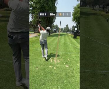 Would Siri make a good caddy? 👀 #fyp #golf