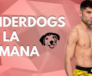 UnderDOG de la semana 🐶 | UFC 317 Topuria vs Oliveira