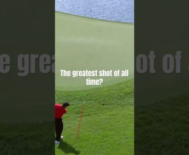 The greatest shot of all time? #golf #golfswing #tigerwoods