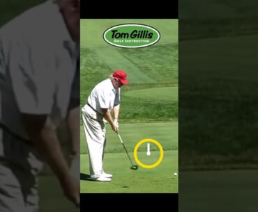 Is This The Best Golf Shot Ever?
