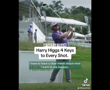 Harry Higgs 4 Keys to Every Shot