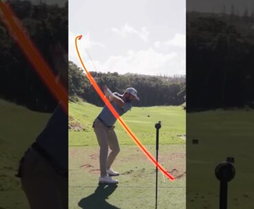 Power Hitter Cameron Young Awesome Swing Motion & Slow Motion 2024