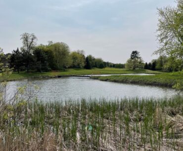 Newmarket plans natural public area on former golf course lands