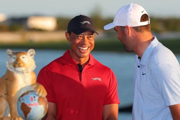 NASSAU, BAHAMAS - DECEMBER 08: Tiger Woods of the United States congratulates Scottie Scheffler of the United States after the final round of the Hero World Challenge 2024 at Albany Golf Course on December 08, 2024 in Nassau, Bahamas. (Photo by Kevin C. Cox/Getty Images)' achievements at the Memorial Tournament