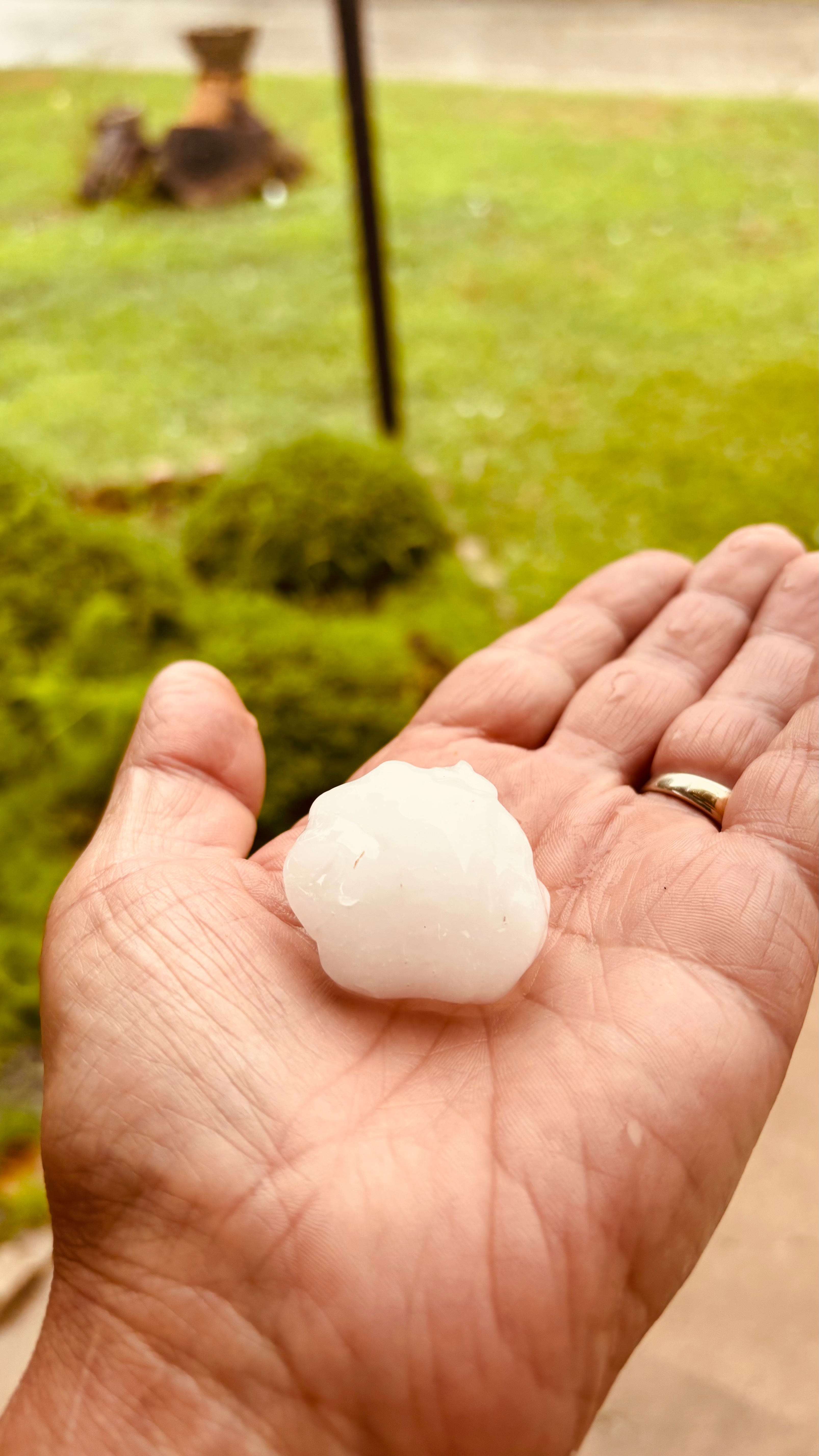 Here another picture of golf size heal in Fort Worth.