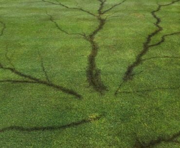 Treetops Resort lightning strike photos. How to stay safe on golf course