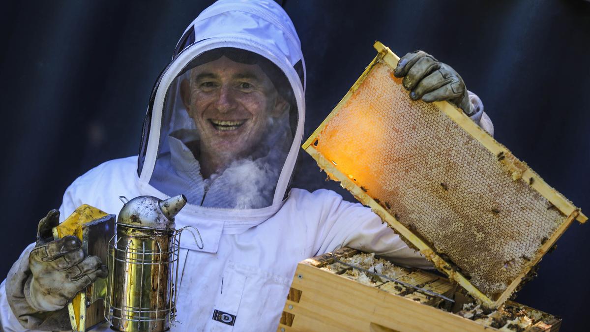 Local beekeeper John Faherty hopes to install 20 hives at exclusive Cottesloe Golf Club Local beekeeper John Faherty hopes to install 20 hives at exclusive Cottesloe Golf Club