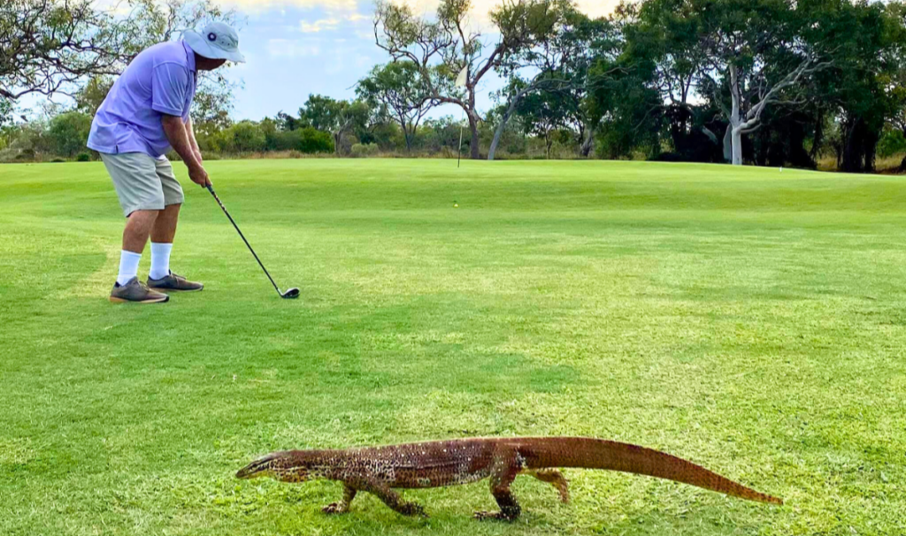 Broome to offer visitors a walk on the wild side Broome to offer visitors a walk on the wild side