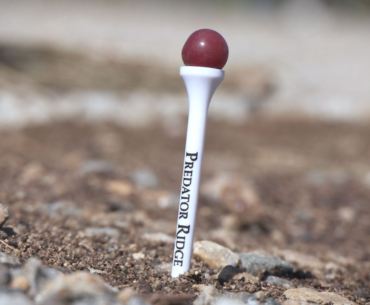 Here’s why grapes and golf balls both love the Okanagan