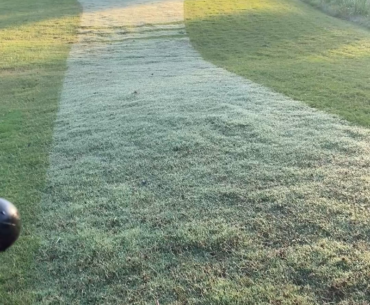 Are maintenance videos welcome ?