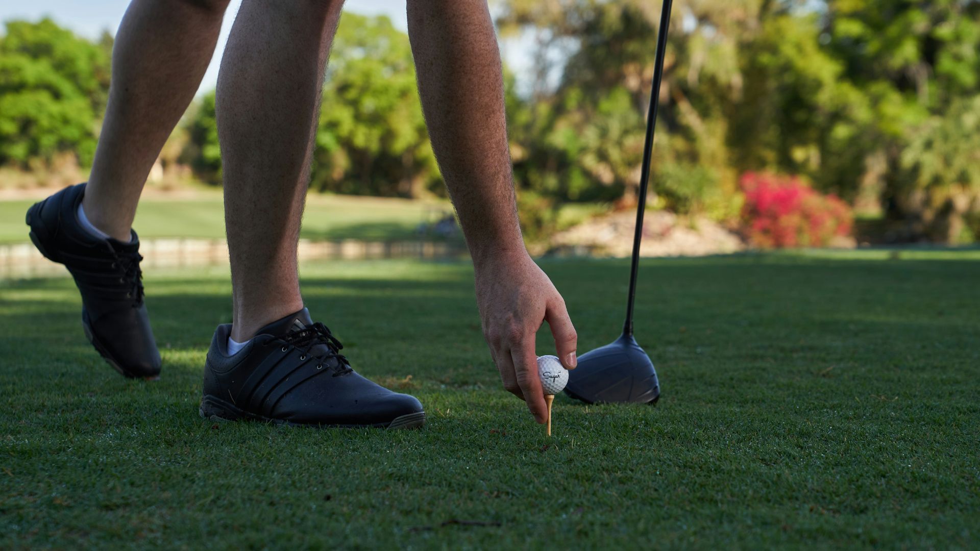 Golf Courses In India