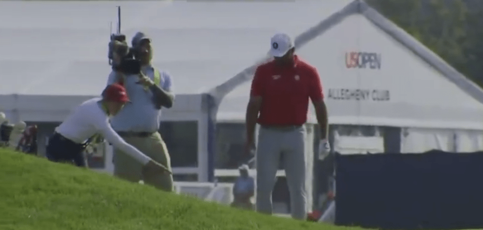 Golfer searching for a golf ball on the course.