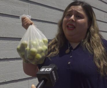 Manteca neighborhood asks city for help following damages by flying golf balls