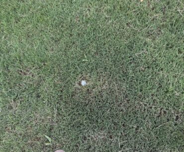 Found Shane Lowrys ball