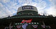 Cubs Minor League News