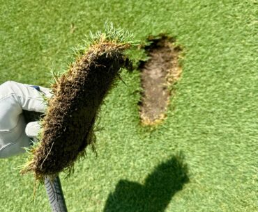This is the divot I took on my first wedge shot of the day.