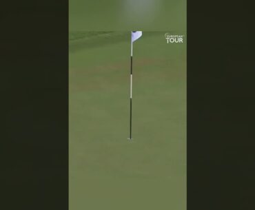 LUCK or SKILL? Romain Langasque Chips In for INSANE Eagle! 🦅⛳