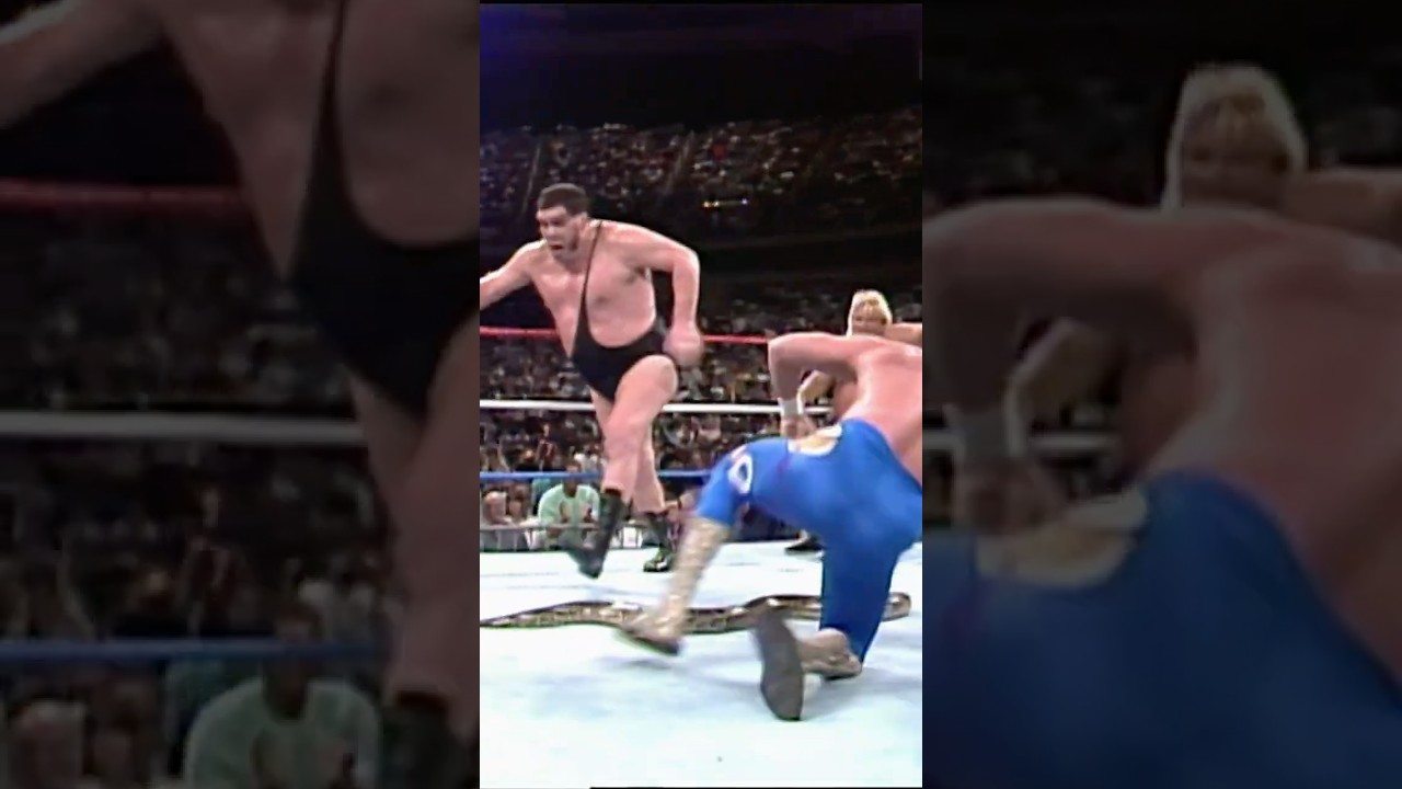 Andre the Giant eliminates himself Andre the Giant eliminates himself