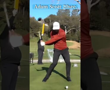 Adam Scott 20sec #ゴルフ