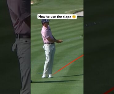Take notes on this shot 📝