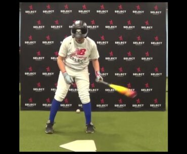 Cameron Davis   Hitting