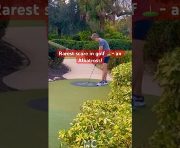 EPIC & RARE ALBATROSS at Disney’s Fairways Golf Course at Fantasia Gardens! #minigolf #Disney
