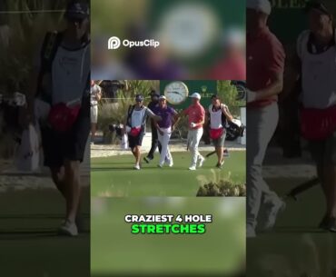 Did He Just Ace It From 181 Yards? #shorts #golf