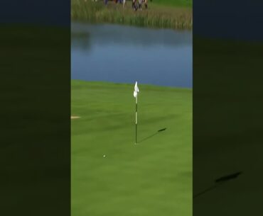 VINTAGE Tiger Woods! ⛳️