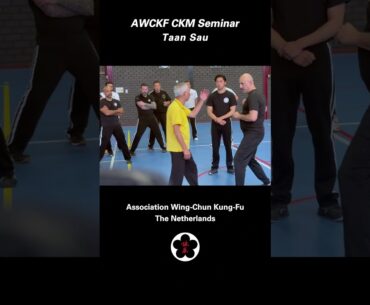 Wing Chun Tan Sau - Sifu Chan Kim Man #ipman #wingchun