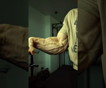 TOP 3 Forearm Exercises