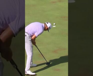 David Lipsky needed this for a playoff... #shorts #golf #pgatour