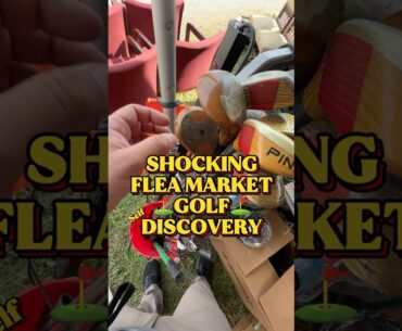 SHOCKING Flea Market Golf Self Discovery
