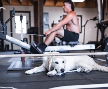 Max Effort Lower Session | Surprise Deadlift PR