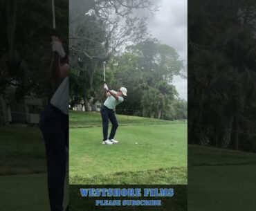 Cameron Champ Golf Swing Valspar Championship 2024 #shorts #golf #golfcourse