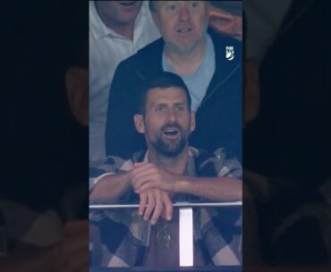 Even Novak Djokovic couldn’t believe THIS 😱 #djokovic #bbl14 #cricket