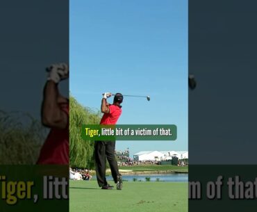 Tiger Woods Was A Victim .. #golf #tigerwoods