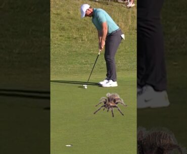 PGA Tour Scottish Open - Round One Highlights 👀 #golf #pga #PGATOUR #scottishopen #rory