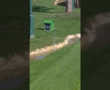 CRAZY lucky bounce out of water 💦