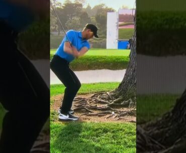 Cam Davis shot off the roots at Pebble Beach! Crazy golf shot!