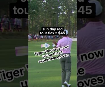 GOLF GLOVES YOU LIKE (TIGER WOODS EDITION) #golf