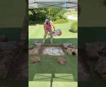 Extreme Action for a Nice Lawn
