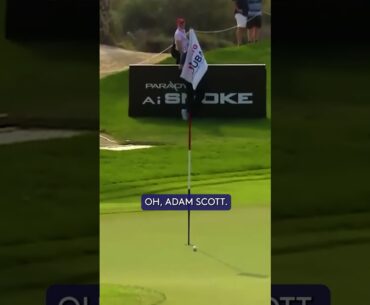 Adam Scott MAGIC! 🤩